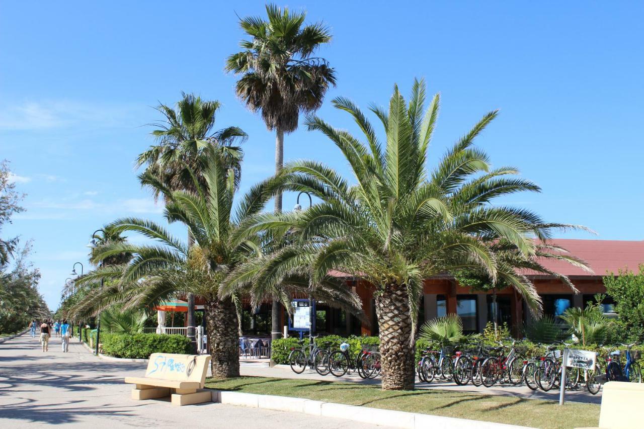 Sulmare Alba Adriatica Bed & Breakfast Екстериор снимка
